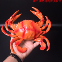 仿真龍蝦模型假螃蟹梭子蟹塑料玩具軟膠大號硅膠海鮮海洋動物兒童