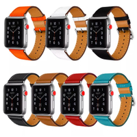 Apple Watch 錶帶+悠遊卡