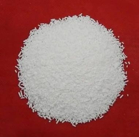 Emal 10N / Texapon / SLS / Emal Needle / Sodium Lauryl Sulfate 1 KG