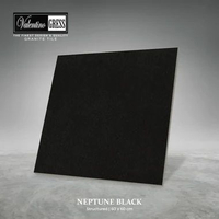 GRANITE VALENTINO GRESS 60x60 CM - NEPTUNE BLACK