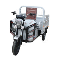 Electric Tricycle China 3wheels Motorcycle Enclosed Covered 2 Seat Adults Electric Tricycles Three Wheel Adult Scooter