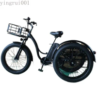 Electric Cargo Bike Fat Tire Tricycles E Trike From MINGMAX Cargo Tricycle for Adult 20inch