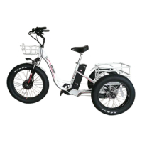 Front motor popular china adult motorcycle 3 wheel electric tricycles 3 wheel electric mobility bike