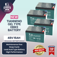 Activity subsidy Summer Ebike 48v 25ah Battery Compatible with 48v 20ah Tianneng Brand AGM GEL Batte