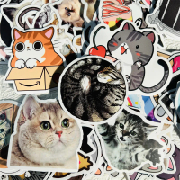 Waterproof Reusable Cat Stickers: 10/50/100 pcs, 3-7cm. A fun mix of cartoon kittens & realistic cat