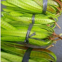 petai cina / lamtoro/petey selong 250g