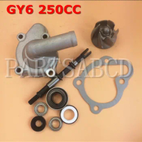 250CC GY6 250CC Water Cool Engine Water Pump Assy 250CC Moped Scooter Go Kart ATV