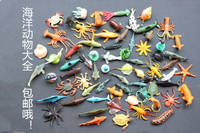 仿真海洋動物模型套裝小號實心鯊魚章海豹企鵝錘頭鯊玩具擺件