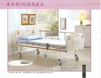 【免運送好禮】立新兩馬達病床 B-02 電動護理床 雙馬達 醫療床 居家用照顧床  Hospital bed