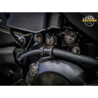 [จัดส่งทันที] น๊อตยึดคอยล์ไฟforza 350/ adv 350(M6x15/3-M6x25/2)=ชุด 5 ตัว