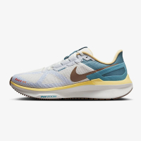 NIKE 男鞋 慢跑鞋 路跑 公路 運動鞋 緩震支撐 Structure 25 HV5976-121