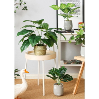 北歐仿真綠植仿生龜背竹植物裝飾假花擺件客廳室內ins風小盆栽