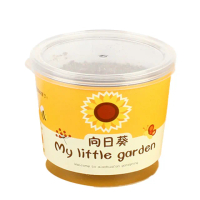 【百獅】種植小盆栽 兒童植物 兒童盆栽(DIY負離子綠植 小盆栽 桌面迷你兒童種植 室內植物 辦公室盆栽)