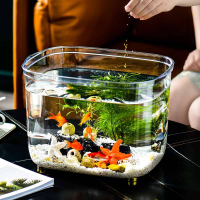 魚缸小型家用客廳高清透明塑料盒防摔魚缸一體成型無縫水族箱烏龜
