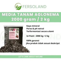 Media tanam aglonema 2kg | media tanam aglaonema red peacock widuri siap pakai | media tanam ferment
