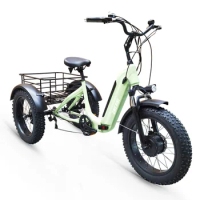 Aluminum folding electric tricycle 20 inch snow fat tyre variable speed power assisted pedal electric bike