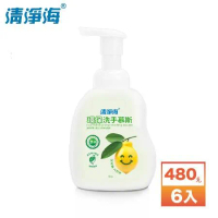 【清淨海】檸檬系列 環保洗手慕斯 480g (6入組)