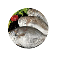 藏鮮味野生捕撈肉鯽魚凍漲加碼組
