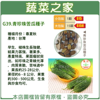 【蔬菜之家】G39.青珍珠苦瓜種子(共有2種包裝可選)