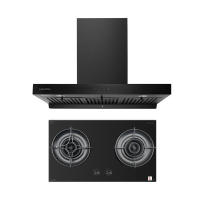 SET เครื่องดูดควัน RG-971T(B) + LGS-9112