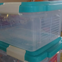 kandang box countener