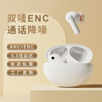 XY70藍牙5.1耳機新款ENC通話ANC降噪 立體聲私模爆款「店長推薦」