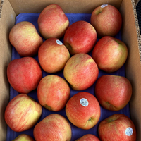 2024/10預購 美國富士蘋果 原裝十公斤  (56、64、72、88、100顆)