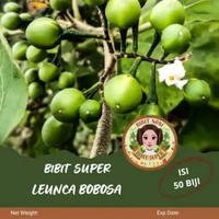 Bibit Super Leunca Bobosa | Biji Benih Leunca Bobosa Super