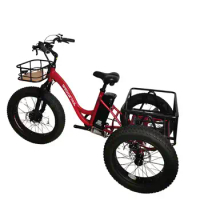 Mid drive e-bike motor kit 1000w electric bicycle 3 wheel adult tricycle electric bike
