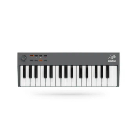 Tiny 32 mini keys USB keyboard controller Wholesale Studio Musical Instrument Piano Midi Controller Mini Keyboard