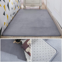 【200300cm】地毯、地墊防滑、臥室滿鋪珊瑚絨床邊毯榻榻米居家室內設計布置定制送地毯