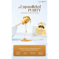 Signature Market Wild Queen Honey (535g)CDC
