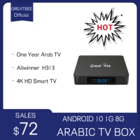 Great Bee GBM2 Arabic TV Box Android 10 1G 8G 4K Smart TV Set Top Boxes