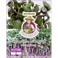 Bibit Premium Red Cabbage Microgreens |Kubis Merah | Benih Kubis Merah
