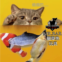 【寵物花園】😻貓薄荷絨毛玩具 💖貓草 抱枕 香魚 雞腿 食物 貓草魚