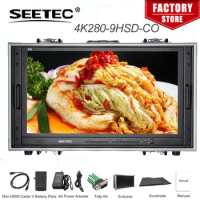 Seetec 4K280-9HSD-CO 28 Inch 4K Broadcast Monitor for CCTV Monitoring Making Movies Ultra HD Carry-on LCD Director Monitor