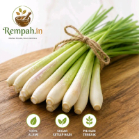 Sereh Serai Segar Pilihan 100% Alami Segar Setiap Hari