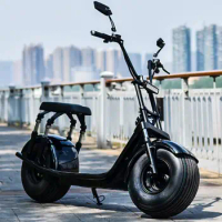 Overseas Spot Adult Citycoco E Scooter 1500w 2000w Kick Electric Motorcycle 18 inch Fat Tire