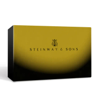 【金革唱片】★熱門禮物首選★ 藝術大家系列：史坦威 王者之聲 USB(Steinway & Sons 琴壇王者之聲)