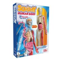 21 Removable Parts Squishy Human Body Medical Anatomy Model SmartLab Educational Teaching Toys