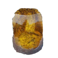 Amber specimens, small animals, living protoliths, dragonflies and rare fossil ornaments