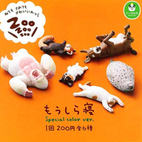 大賀屋 日貨 轉蛋 休眠動物園 扭蛋 特殊色 猩猩 海豹 ZOO 睡眠 睡覺 兒童玩具 收藏品 正版 L00011209