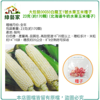 【綠藝家】大包裝G50白龍王1號水果玉米種子23克(約170顆)(北海道牛奶水果玉米種子)