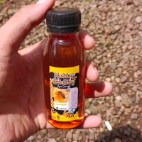 maduku madu odeng,lebah hutan