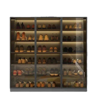 Modern Glass Display Shoe Rack Lamp Shoe Cabinets Large Capacity Transparent Shoe Box Organizer Living Room Cabinets