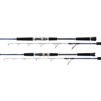 ◎百有釣具◎OKUMA寶熊 SALINA II Jigging 剎那二代 船釣鐵板 路亞竿 SA II-531多款規格