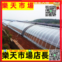 （高品質）日光溫室大棚農業種植大棚養殖大棚冬季種植大棚暖棚草莓大棚定制