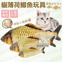 仿真魚 M號 貓玩具 貓薄荷鯽魚玩具(有拉鍊) 可加購貓薄荷噴霧 木天蓼噴霧 寵物玩具 鯽魚 貓草