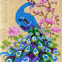 Peacock latch hook rug kits Carpet embroidery set accessories and materials Tapestry DIY bag needle arts plastic canvas Hobby