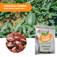 benih SEMANGKA KUNING INDEN / semangka inul golden inden F1 hibrida / bibit tanaman buah semangka F1